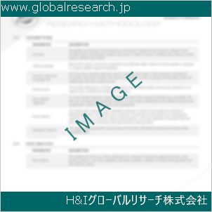 グローバルリサーチ調査資料のイメージ